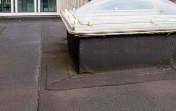 disadvantages of Drumguish flat roofs
